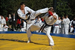 Соревнования по Киокушинкай