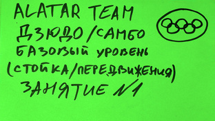 Дзюдо / Самбо базовый уровень 36 занятий