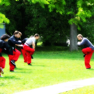 Цигун и тайцзи