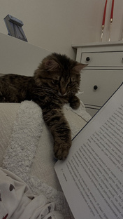 Книги 📚 