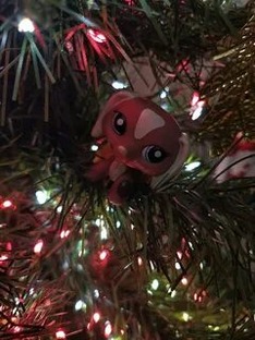 Разговорные видео 