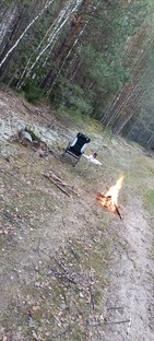 Природа отдых грибы и многое другое
