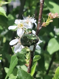 365 сказок-подсказок  на каждый  день! 