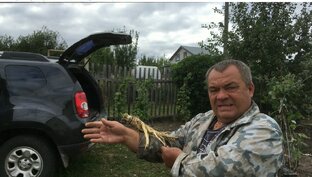 А на даче, а на даче...