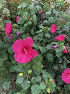 Лучшие факты из жизни нашего Храма