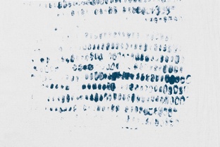 Тайны и загадки языков