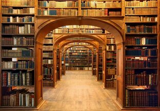 Домашняя библиотека палеонтолога.