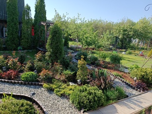 САДОВЫЙ СЕЗОН 2024г.