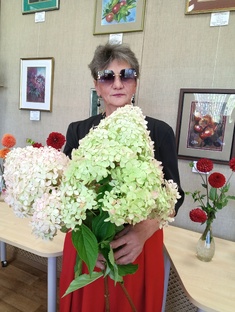 Метельчатые гортензии. 