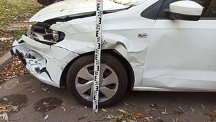 Независимая экспертиза