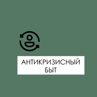АНТИКРИЗИСНЫЙ БЫТ