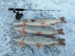 Зимняя рыбалка 2024-20225