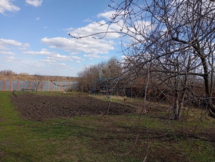 Сад, огород.