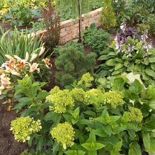 Как создать красивый миксбордер?