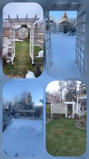 Планы в Саду на сезон 2026г