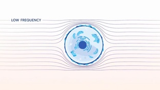 Последние новости AGI, STARGATE, 