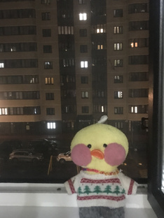 живу в Егорьевске москв обл, мне 9 лет, имя Вика,