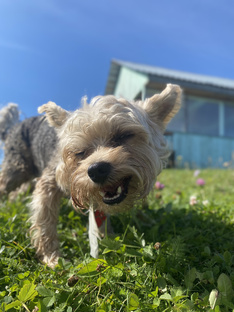 Забавные случаи с Ричи