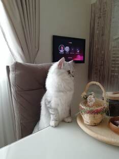 Короткие ролики с телефона.