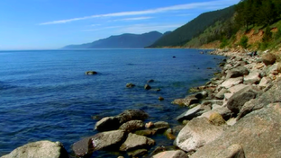 Топ-направления