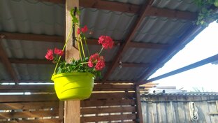 День за днём - 2023