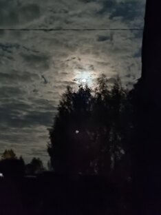 Происшествие в уездном городе