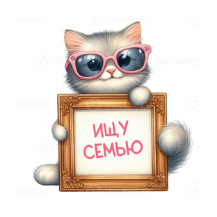 Они ищут свою семью!