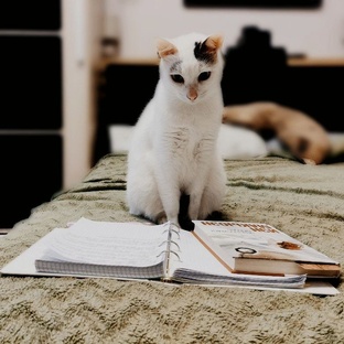 Обзоры июня 2025