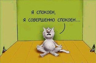 Острые темы-репосты из Дзена
