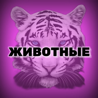 Братья наши меньшие 