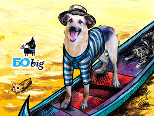 Собака писает не туда