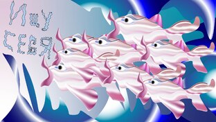 Размышления