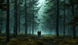 ПОХОД АРМИЯ