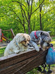 Текущие моменты ...