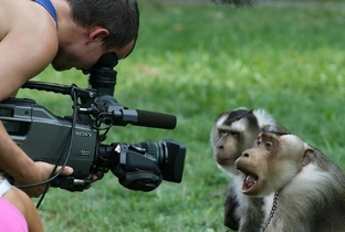 Видеоприколы