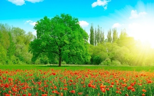 Мои путешествия