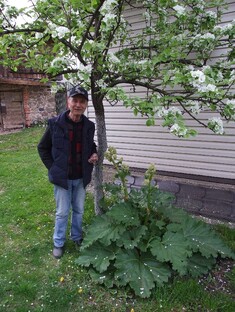 Самуил Снидзе