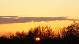 Высадка акации в честь 9 Мая в память всех погибших и моего деда.