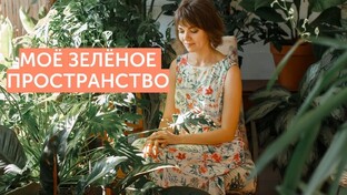 Обо мне.