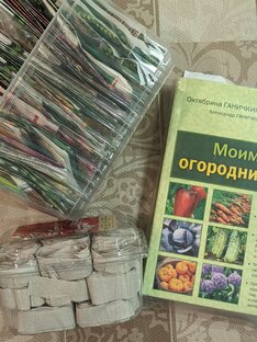 Дачный сезон 2024 года