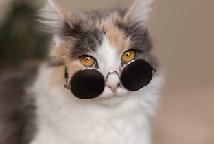 Лучшее по мнению зрителей