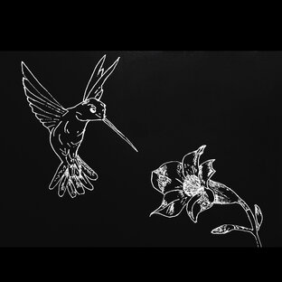 Рисунки на чëрной бумаге