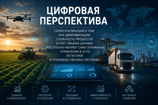 Цифровая перспектива