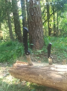 Походы и Бушкрафт