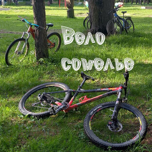 Вело сомелье / Мнение о моих велосипедах