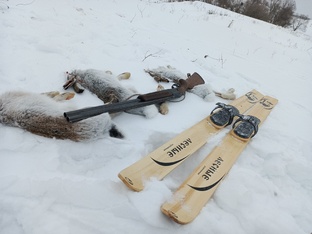 Охота на зайца)))