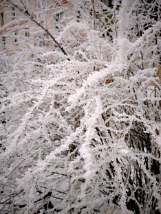 Зимние прогулки