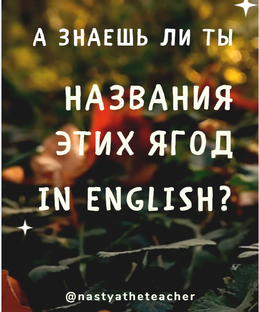 Лексические подборки