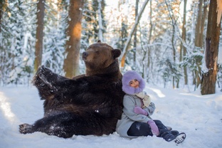 медведь 