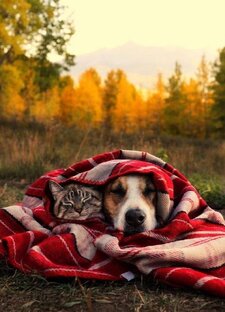 Мысли вслух